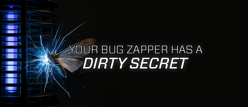 Bug Zappers: Think Twice