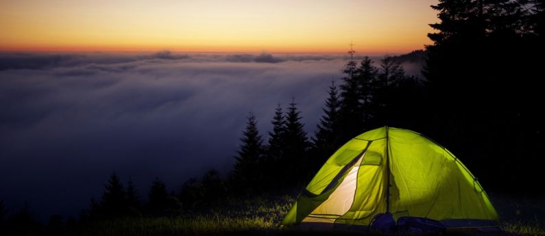 How to keep insects away from your campsite