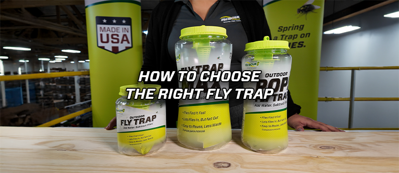 How to Choose the Right Fly Trap