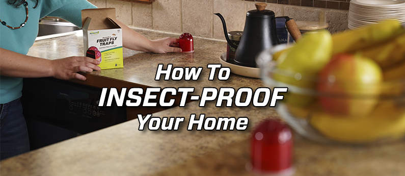 How to Insect-Proof Your Home This Fall