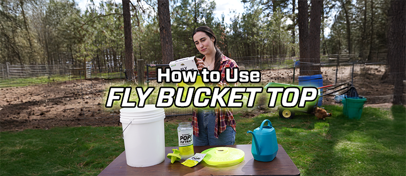 How to Use the New RESCUE! Fly Bucket Top