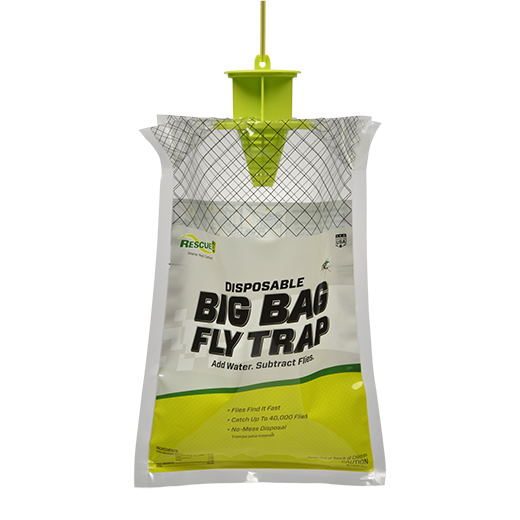 Fly Trap, Big Bag 