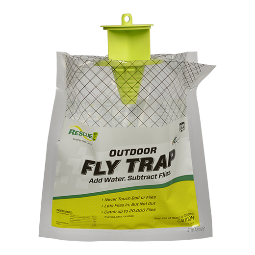 Fly Trap, Disposable