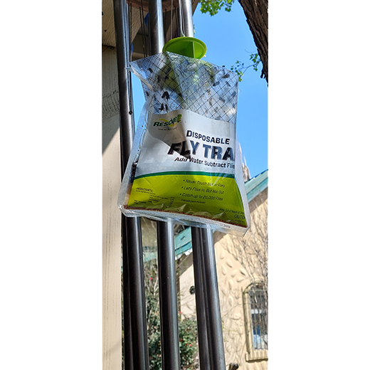 can you use a outdoor fly trap inside｜TikTok Search