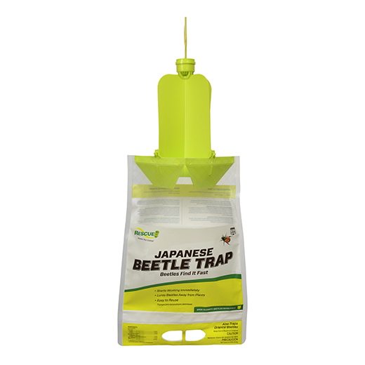 Japanese Beetle Trap