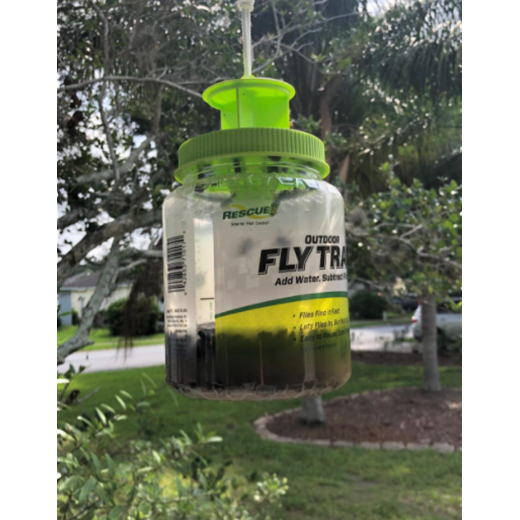 Rescue FFTR2-SF5 Fftr2-Bb4 Reusable Fruit Fly Trap, Liquid, Pack: Fly & Fruit  Fly Traps (042853610005-2)