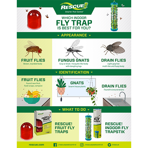 Indoor Fruit Fly Traps, Gnat Traps, Mosquito Traps, Insect Traps