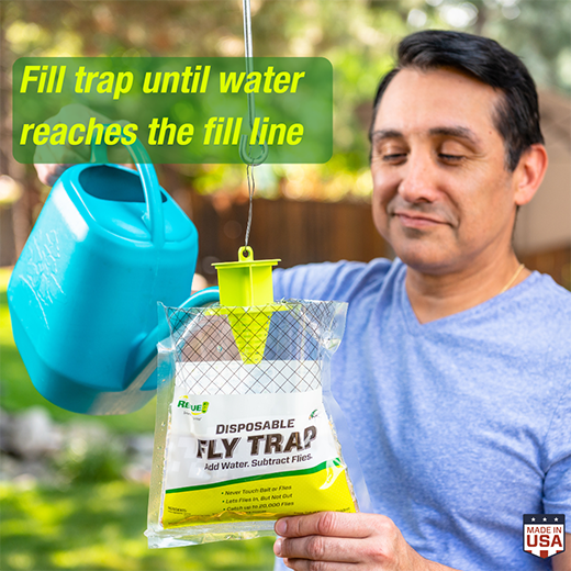 Top 5 Best Fly Traps Reviews 2021 