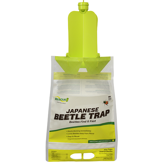 Japanese Beetle Trap