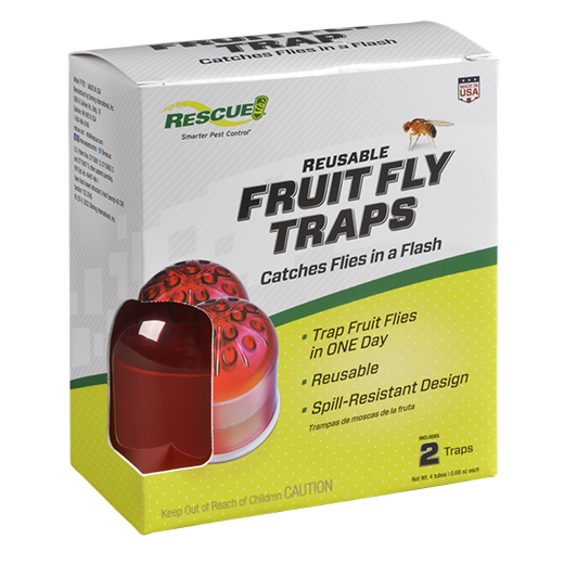 Fly Trap, Fruit Fly